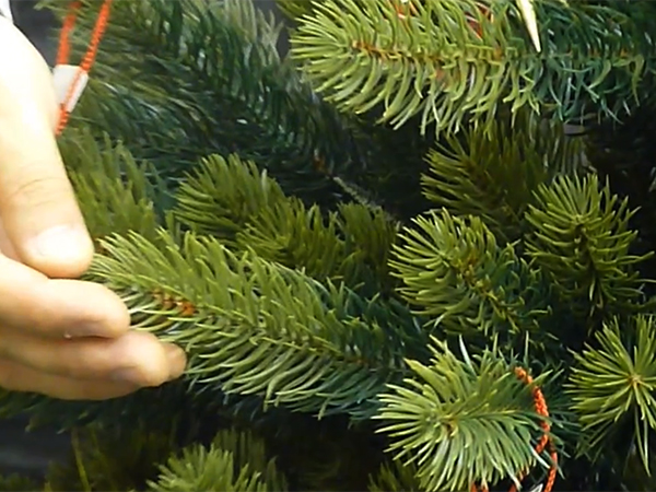 幻のツリー ドイツ プラスティフロア社のクリスマスツリー ｂｙオーナー藤田 公式blog 木のおもちゃ カルテット