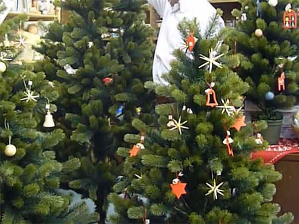 幻のツリー ドイツ・プラスティフロア社のクリスマスツリー ｂｙ 