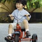 ３歳のお誕生日をお迎えになった悠仁親王　プッキー三輪車で報道陣の前に登場